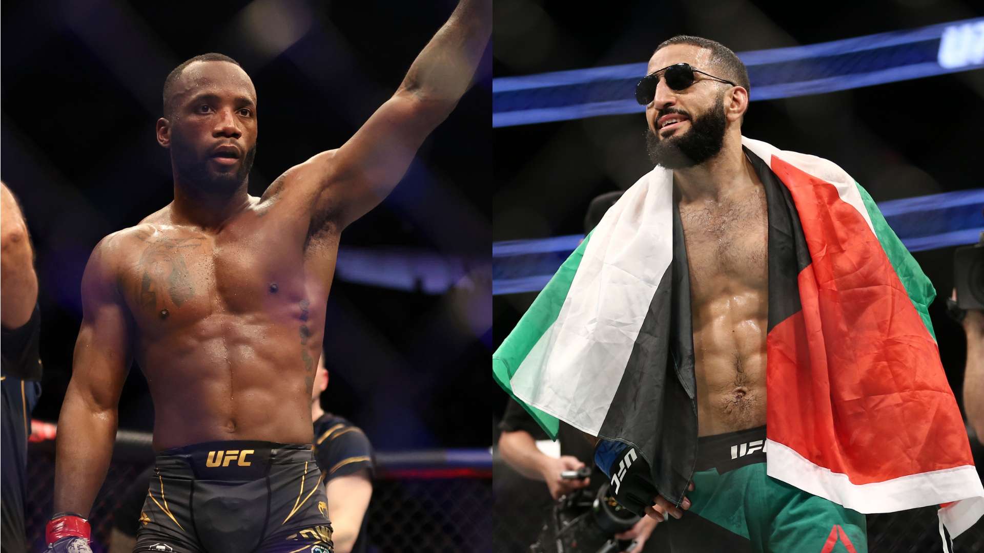 的背景下 的背景下