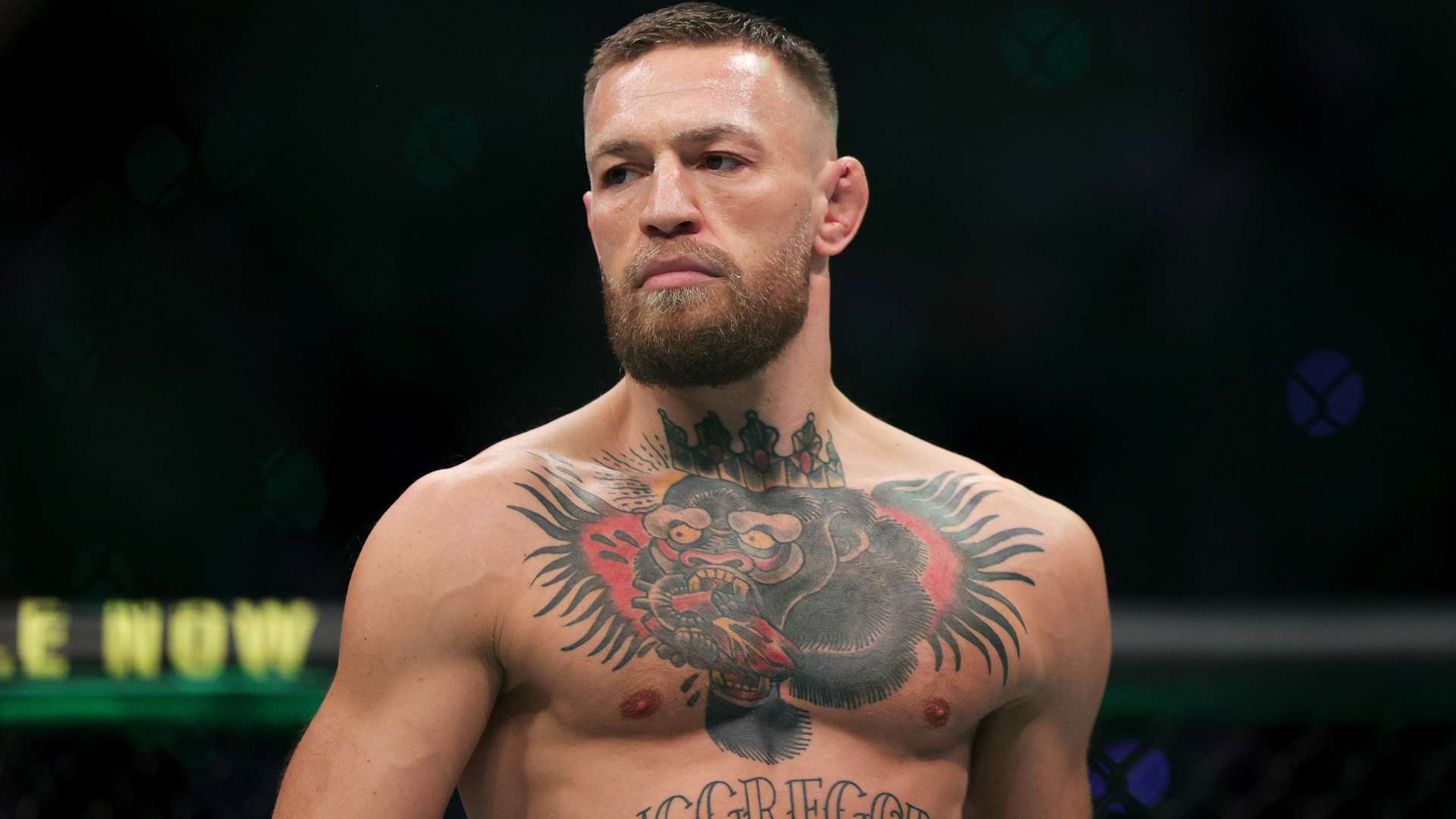 除了技术上 除了技术上