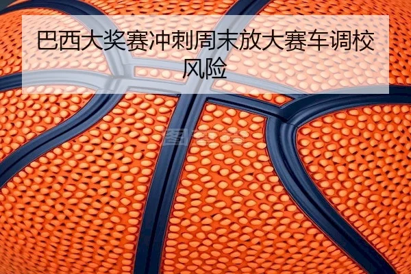 巴西大奖赛冲刺周末放大赛车调校风险